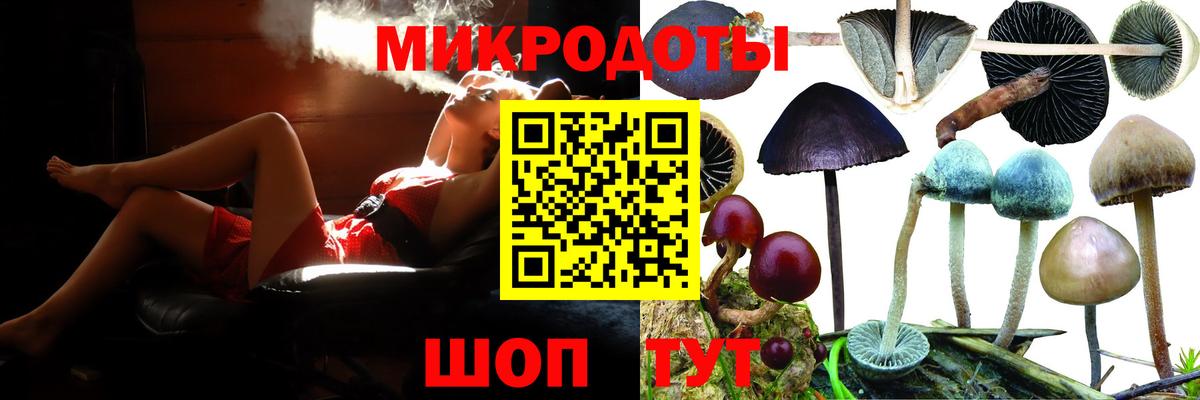 Галлюциногенные грибы GOLDEN TEACHER  Вход с VPN  Людиново  Галлюциногенные грибы прущие грибы 